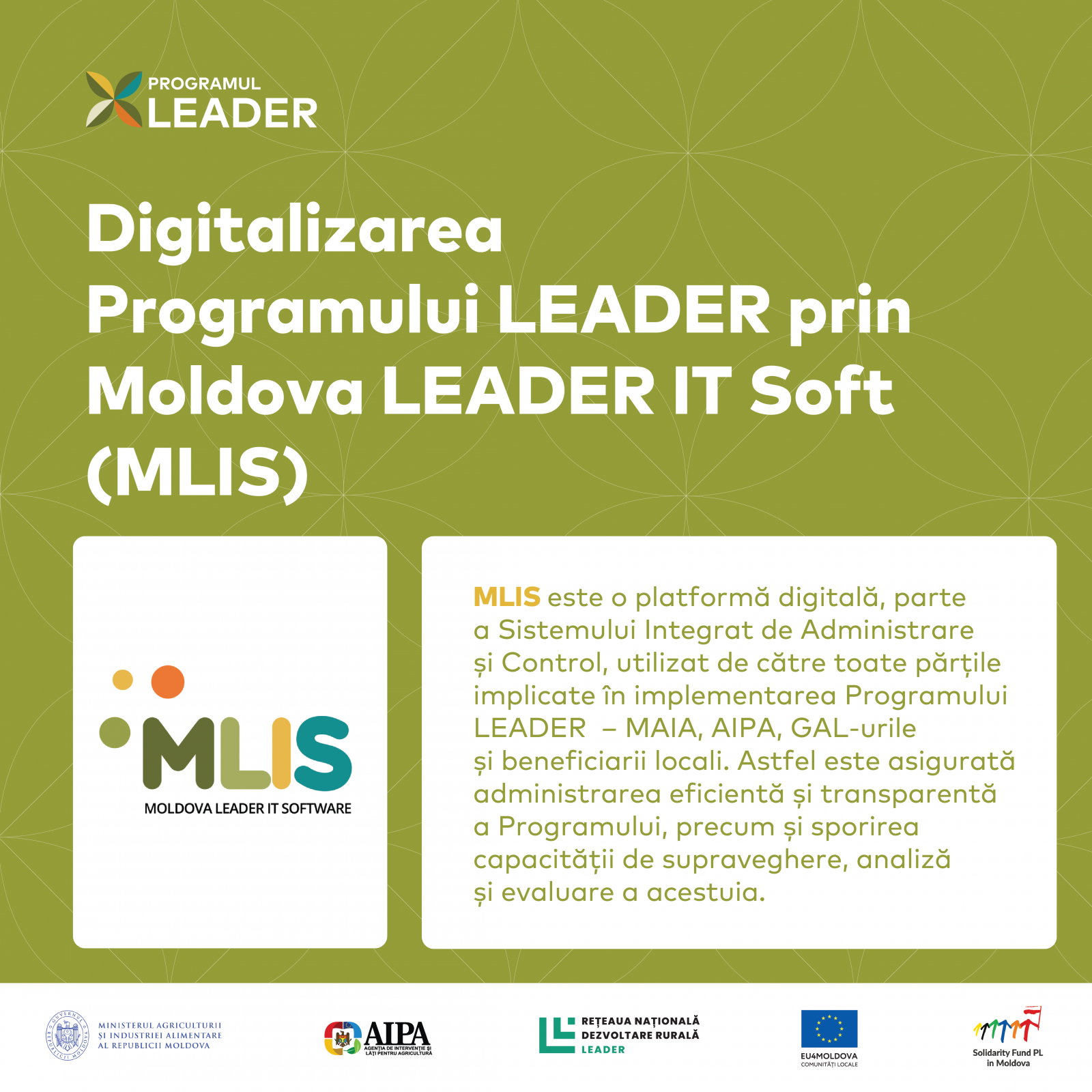 infografice leadeR-01-01-05.png